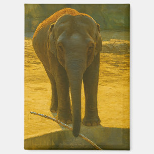 Aimant Sagesse des éléphants d'or - faune majestueuse
