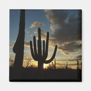 Aimant Saguaro Sunset II Arizona