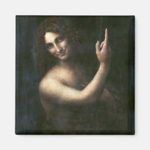 Aimant Saint Jean Baptiste, Léonard de Vinci