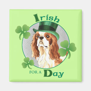 Aimant Saint Patrick's Day Cavalier