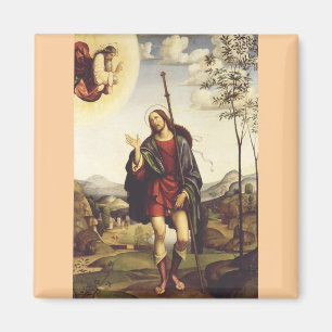 Aimant Saint Roch par Francesco Francia