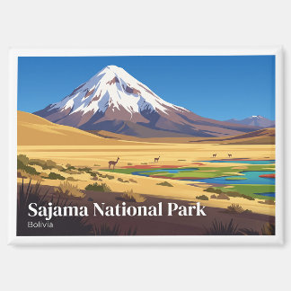 Aimant Sajama National Park Bolivia