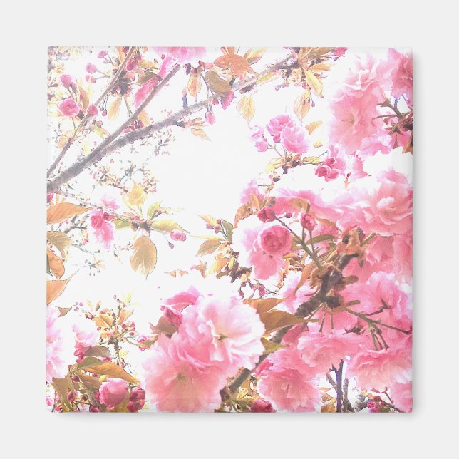 Aimant Sakura Fleurs roses Cherry Blossom motifs floraux (Devant)