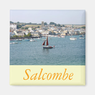Aimant Salcombe, Devon