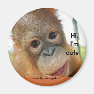 Aimant Salut orang-outan mignon de bébé