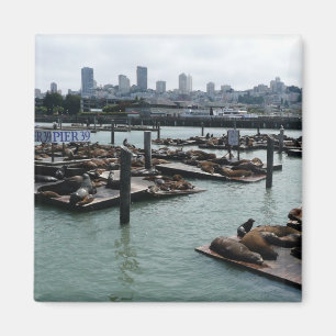 Aimant San Francisco et Pier 39 Sea Lions City Skyline