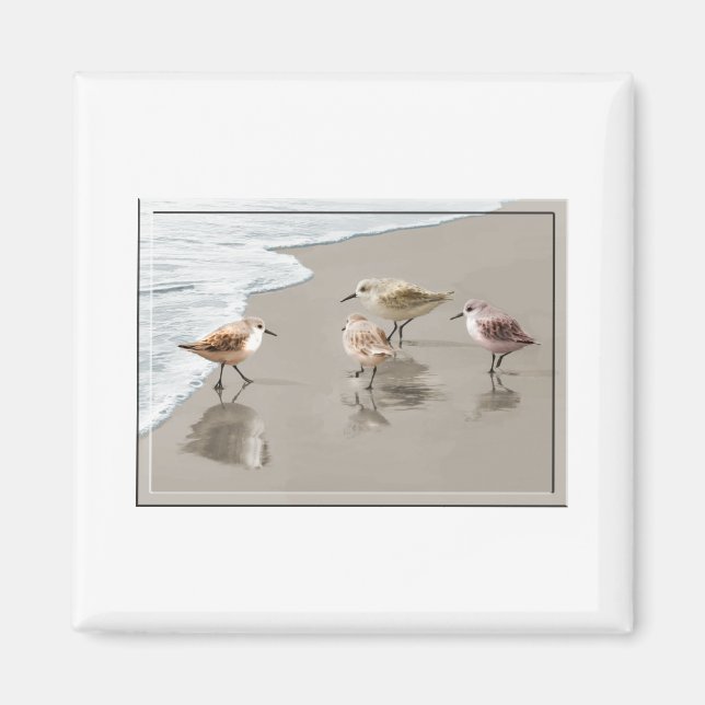 Aimant Sandpipers au bord du rivage (Devant)