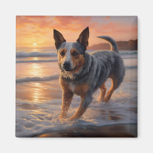Aimant Sandy Paws Australian Cattle Dog on Beach Sunset
