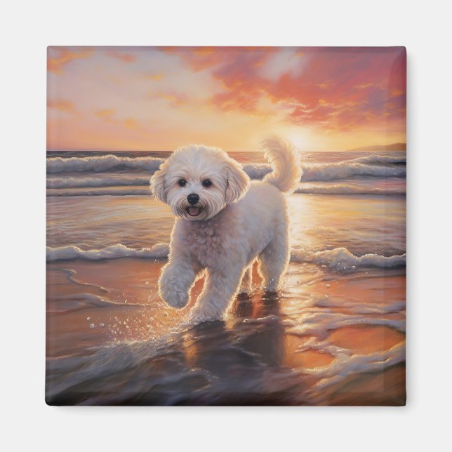 Aimant Sandy Paws Bichon Frise Dog sur Beach Sunset (Devant)