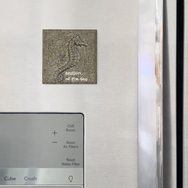 Aimant Sandy Textured Seahorse Photo (In situ (réfrigérateur))