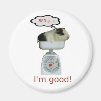 Aimant Santé des porcs de Guinée