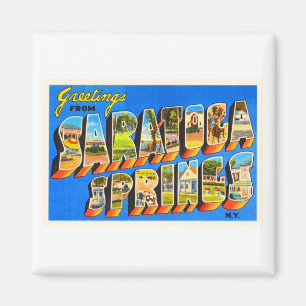 Aimant Saratoga Springs New York NY Vieux souvenir de voy