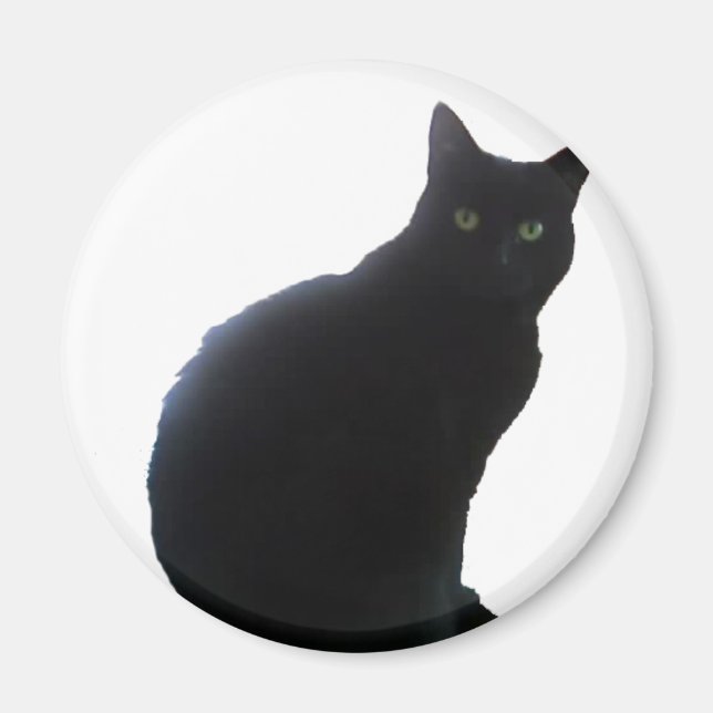 Aimant Sauver le chat noir (Devant)