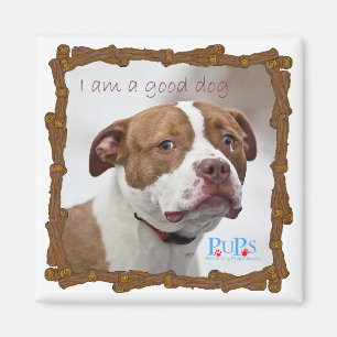 Aimant Sauvetage des bons chiens Pit Bull