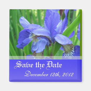 Aimant Sauvez la date, fleurs d'iris bleu printemps.