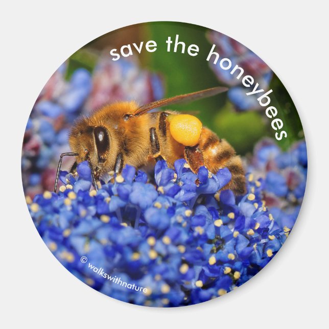 Aimant Sauvez les abeilles à miel Pollinating California  (Devant)