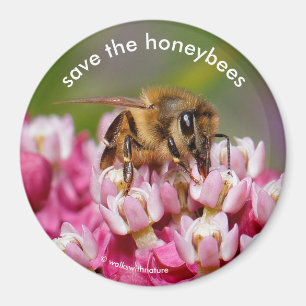 Aimant Sauvez les abeilles domestiques Pollinant Narrowle