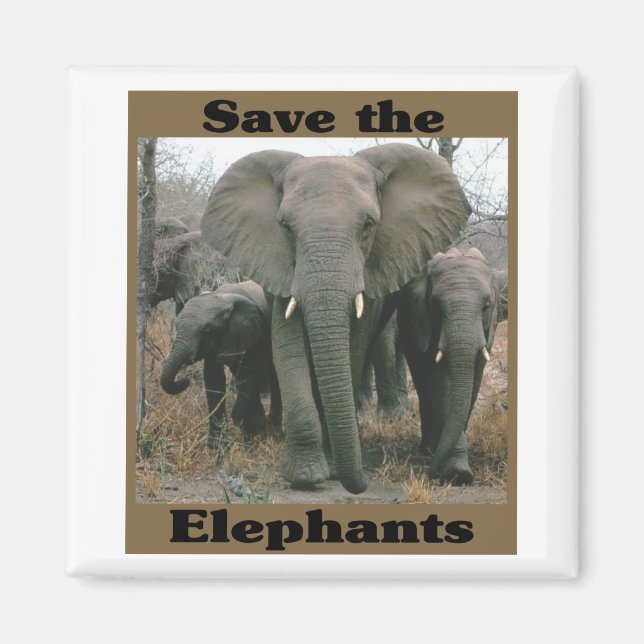 Aimant Sauvez les éléphants (Devant)
