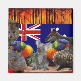 Aimant Sauvez nos maisons - Extinction