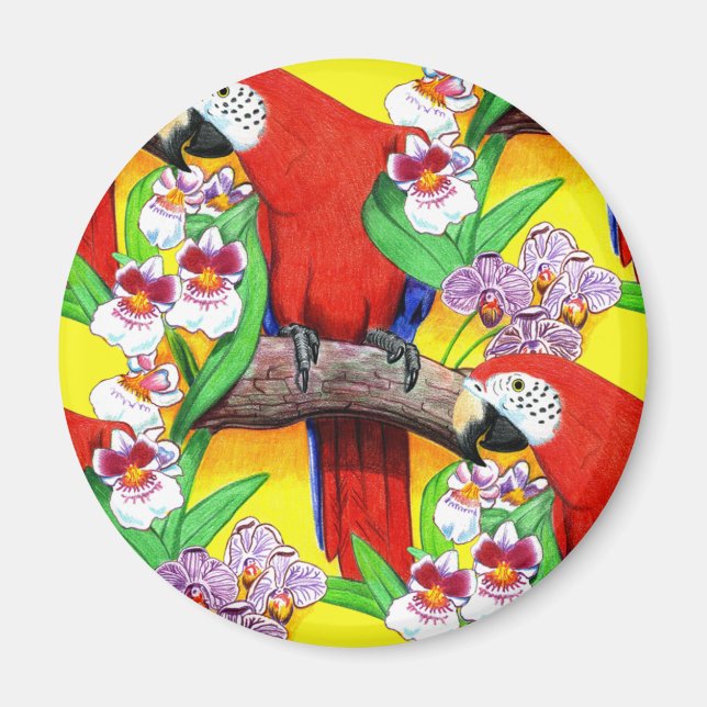 Aimant Scarlet McCaw (Devant)