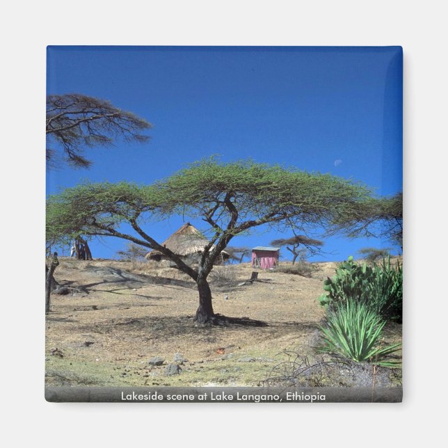 Aimant Scène du lac Langano, Éthiopie (Devant)