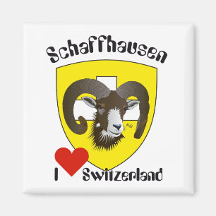 Aimant Schaffhouse Suisse