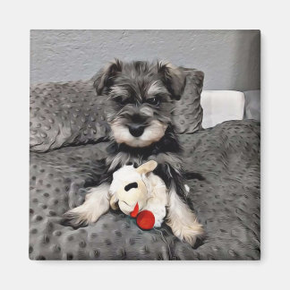 Aimant Schnauzer
