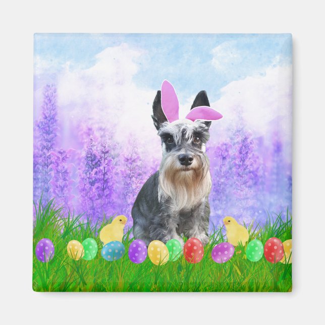 Aimant Schnauzer miniature avec oeufs de Pâques Poussins  (Devant)