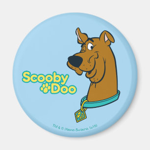 Aimant Scooby-Doo Winking