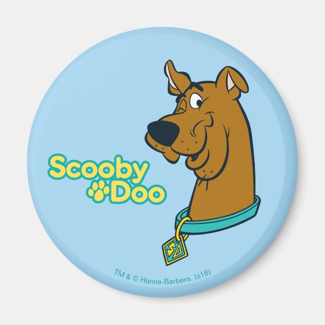 Aimant Scooby-Doo Winking (Devant)
