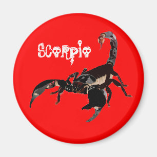 Aimant scorpion