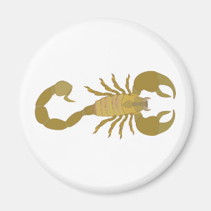 Aimant Scorpion