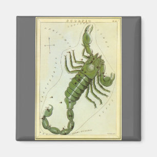 Aimant Scorpion, Constellation Vintage Urania's Mirror