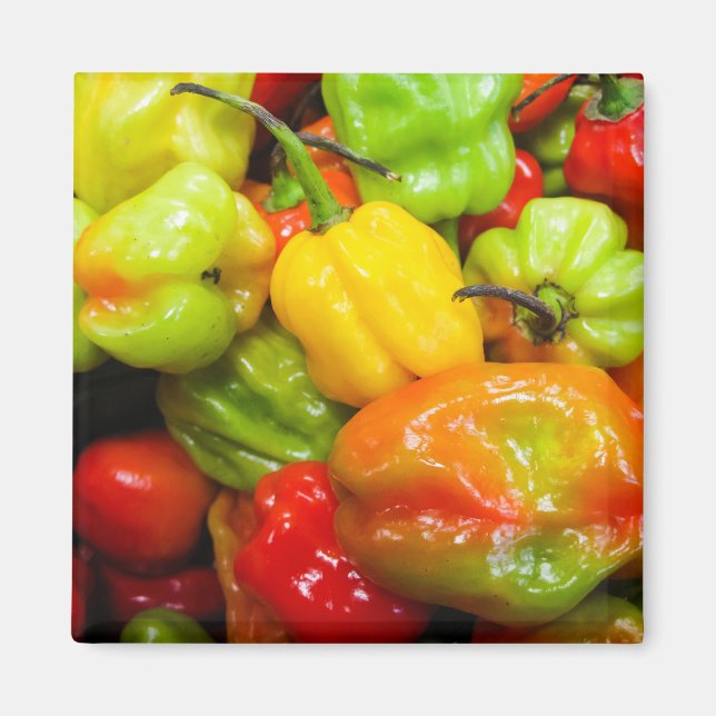 Aimant Scotch Bonnet (Devant)