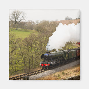 Aimant Scotsman de vol chez Goathland