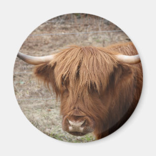 Aimant Scottish