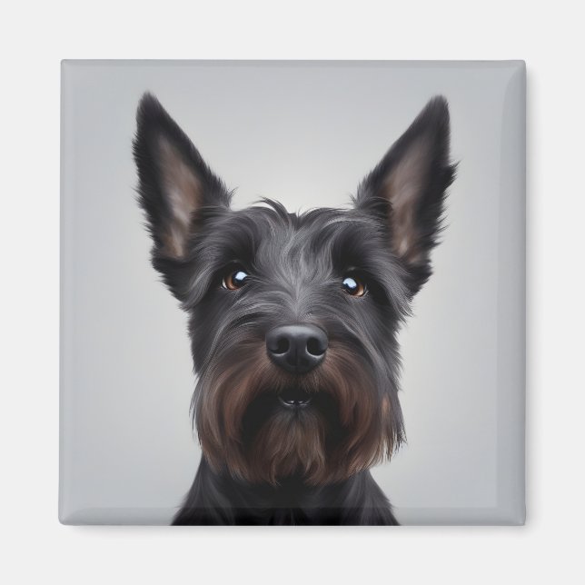 Aimant Scottish Terrier (Devant)