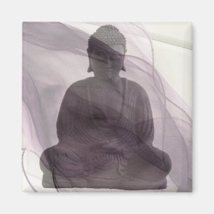 Aimant Se révéler 1