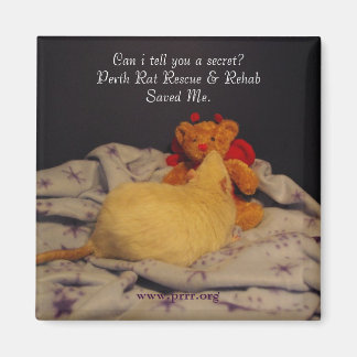 Aimant Secourt Milko