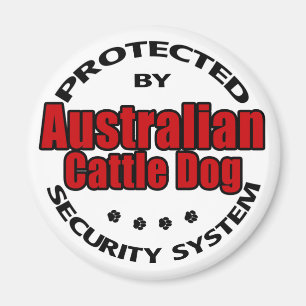 Aimant Sécurité des chiens de combat australiens