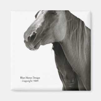 Aimant Sécurité et confort