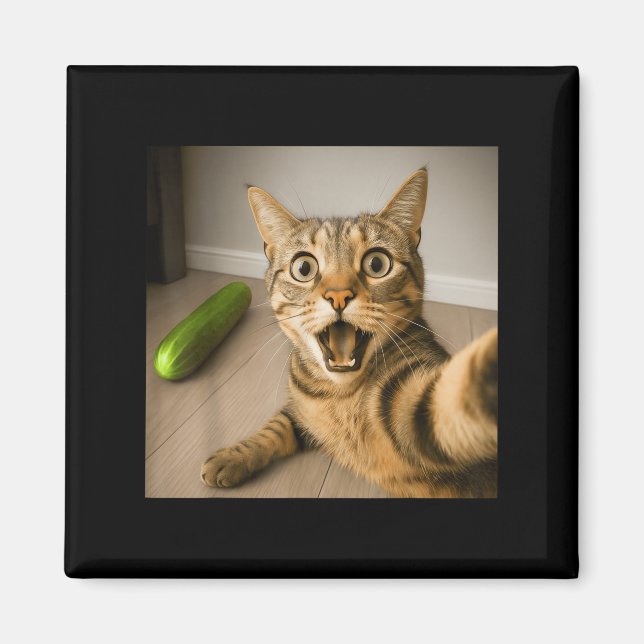 Aimant Selfie Chat Chocé Drôle Avec Conception De Mème De (Devant)