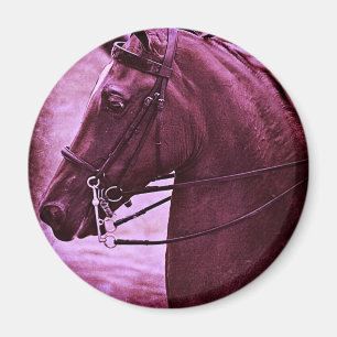 Aimant Selle teintée