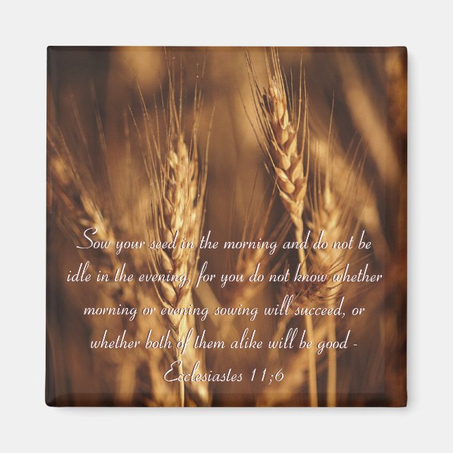 Aimant Semez votre semence...-Magnet (Devant)