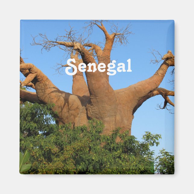 Aimant Sénégal (Devant)