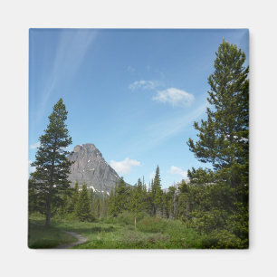 Aimant Sentier Aster Park dans le parc national de Glacie