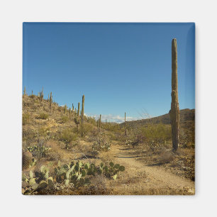 Aimant Sentier Carillo du Saguaro dans le parc national d