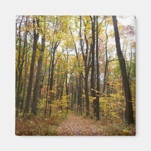 Aimant Sentier d'automne et feuilles dorées à Laurel Hill