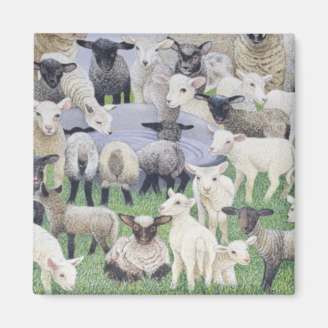 Aimant Sentiment de Sheepish (Devant)