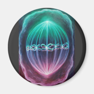 Aimant Séparation cellulaire